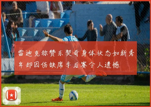 雷迪克称赞东契奇身体状态如新秀年却因伤缺席季后赛令人遗憾